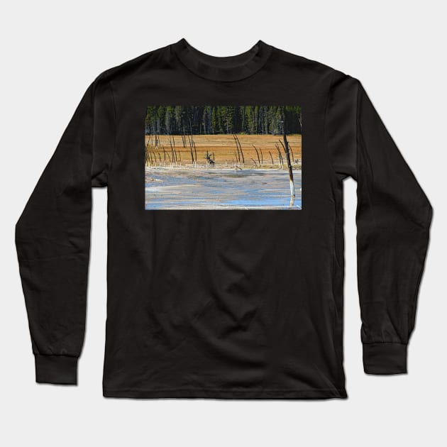 Lodgepole Pines Yellowstone Wyoming Long Sleeve T-Shirt by Debra Martz